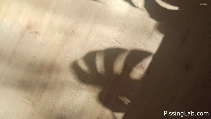Elli Young - Unfortunately I Can’T Pee Far - hot piss (MPEG-4, 8.40 MB, 2025) - steady piss pulse