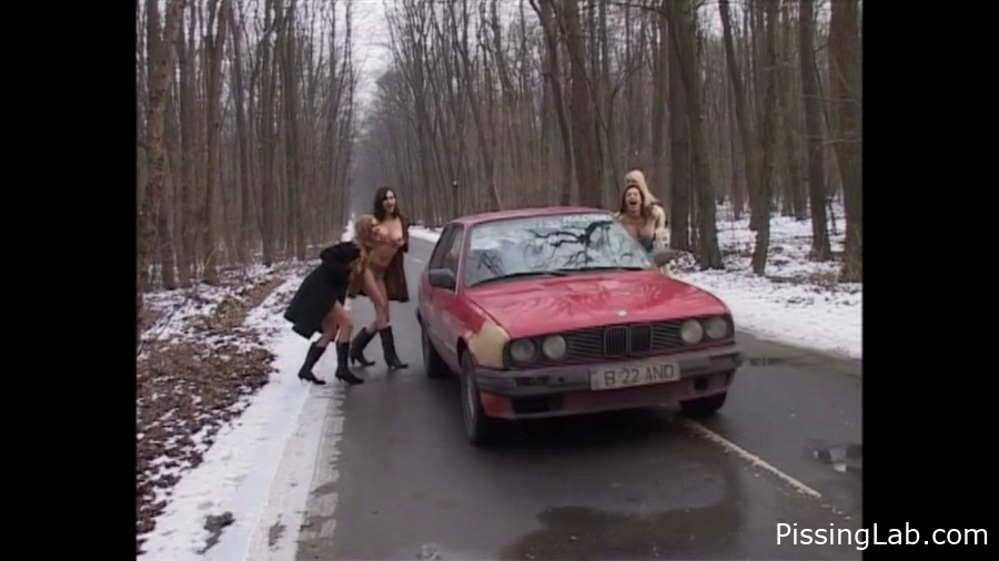 Four Sexy Chicks Piss Right On The Road - slick piss (MPEG-4, 400 MB, 2025) - pee session scene