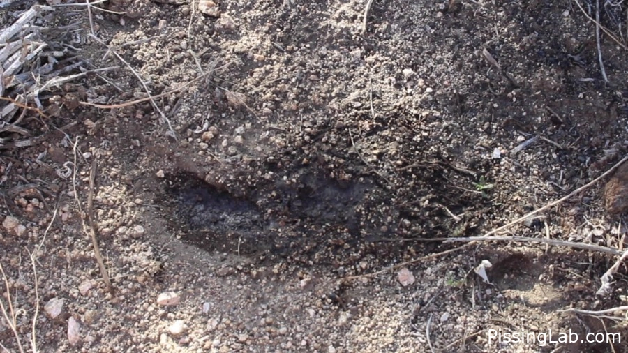 with sexy surprise Nice4ss - Walk On The Lake - 2025 (pee-on-her-without-warning | hush peeing)