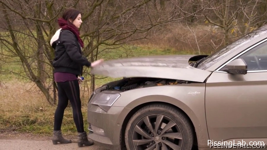 A Short Stop For Pee - Mona Prokopcova