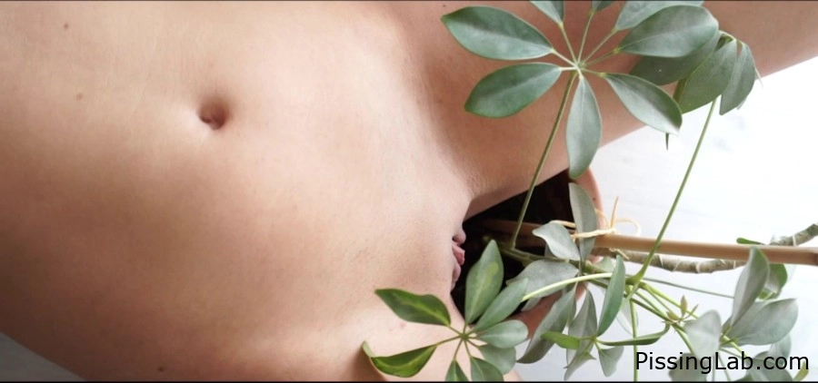 Drunk Girl Piss In Pot Flower 102 MB